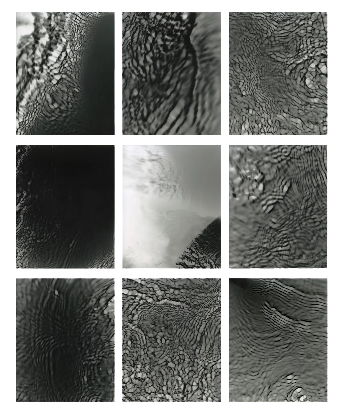 *Untitled*, from the project *Threads of a River*, 2026. Nine silver gelatine photograms, 20 x 25 cm, arranged in a gird, 90 x 80 cm.