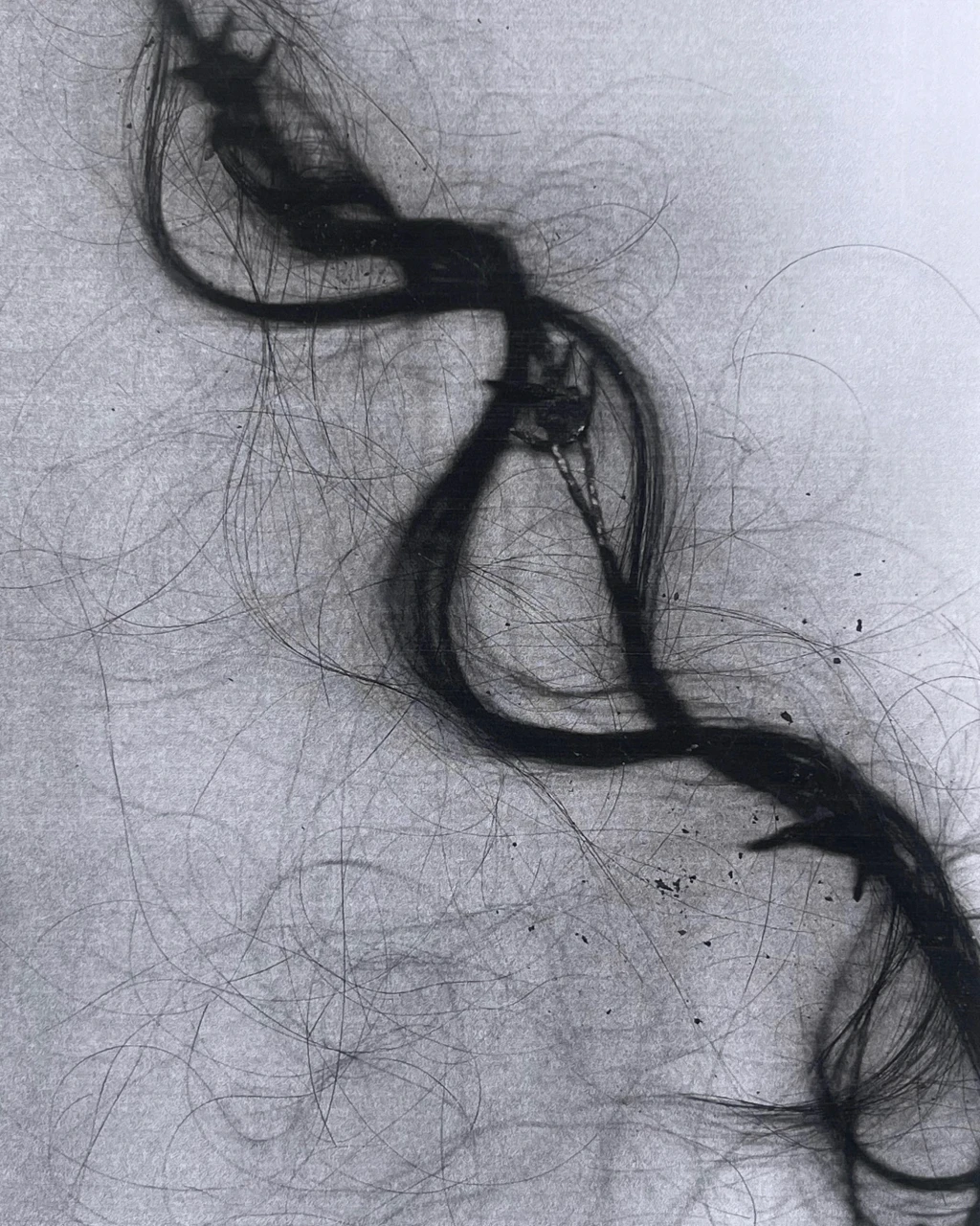 Human hair, barbed wire.
