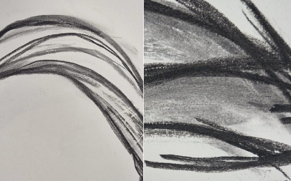 Organic drawings