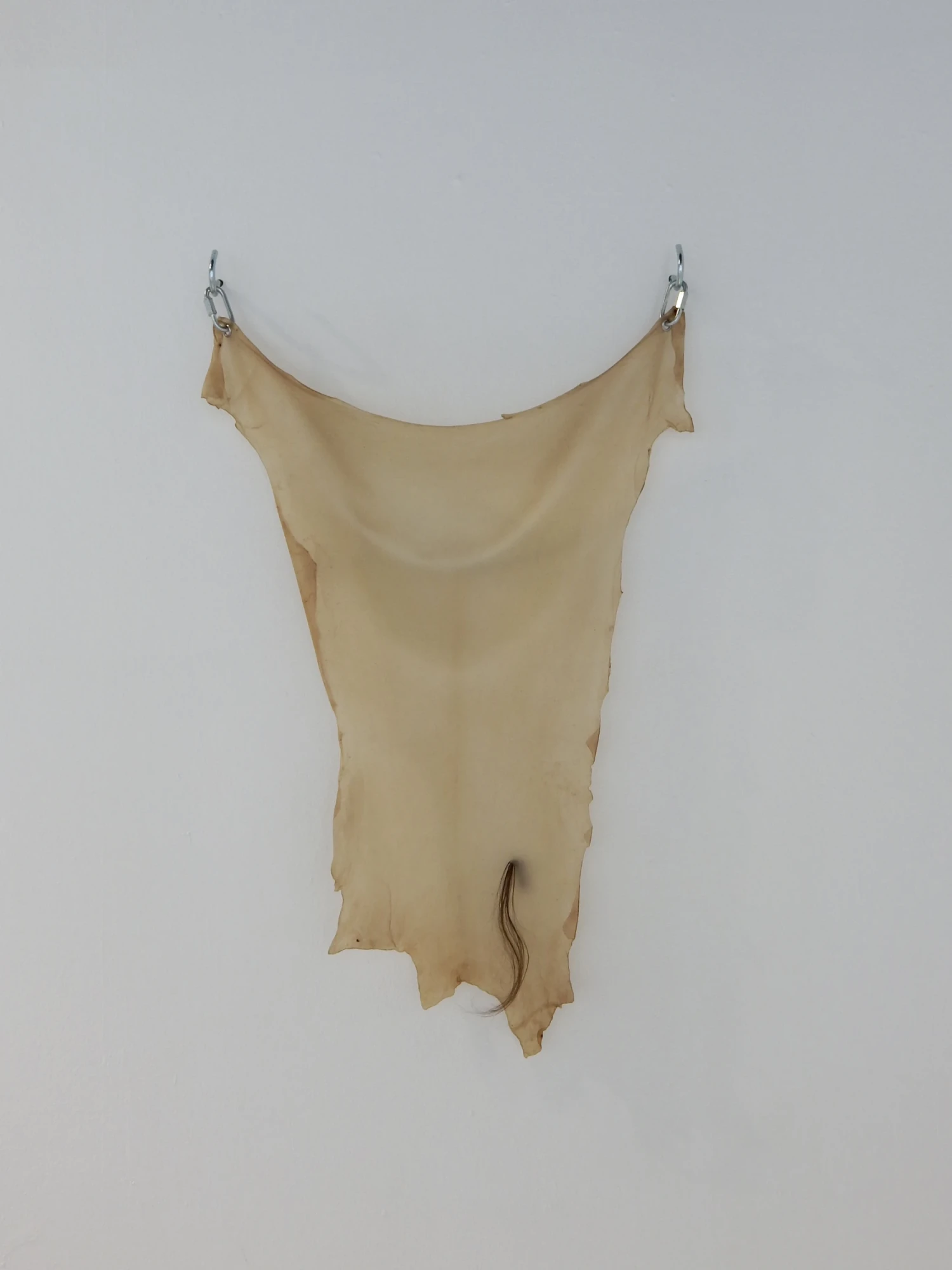 Installation view of *Full Disclosure*, 2026, lamb leather hide, artist's hair, chain links, screw hooks, grommets.