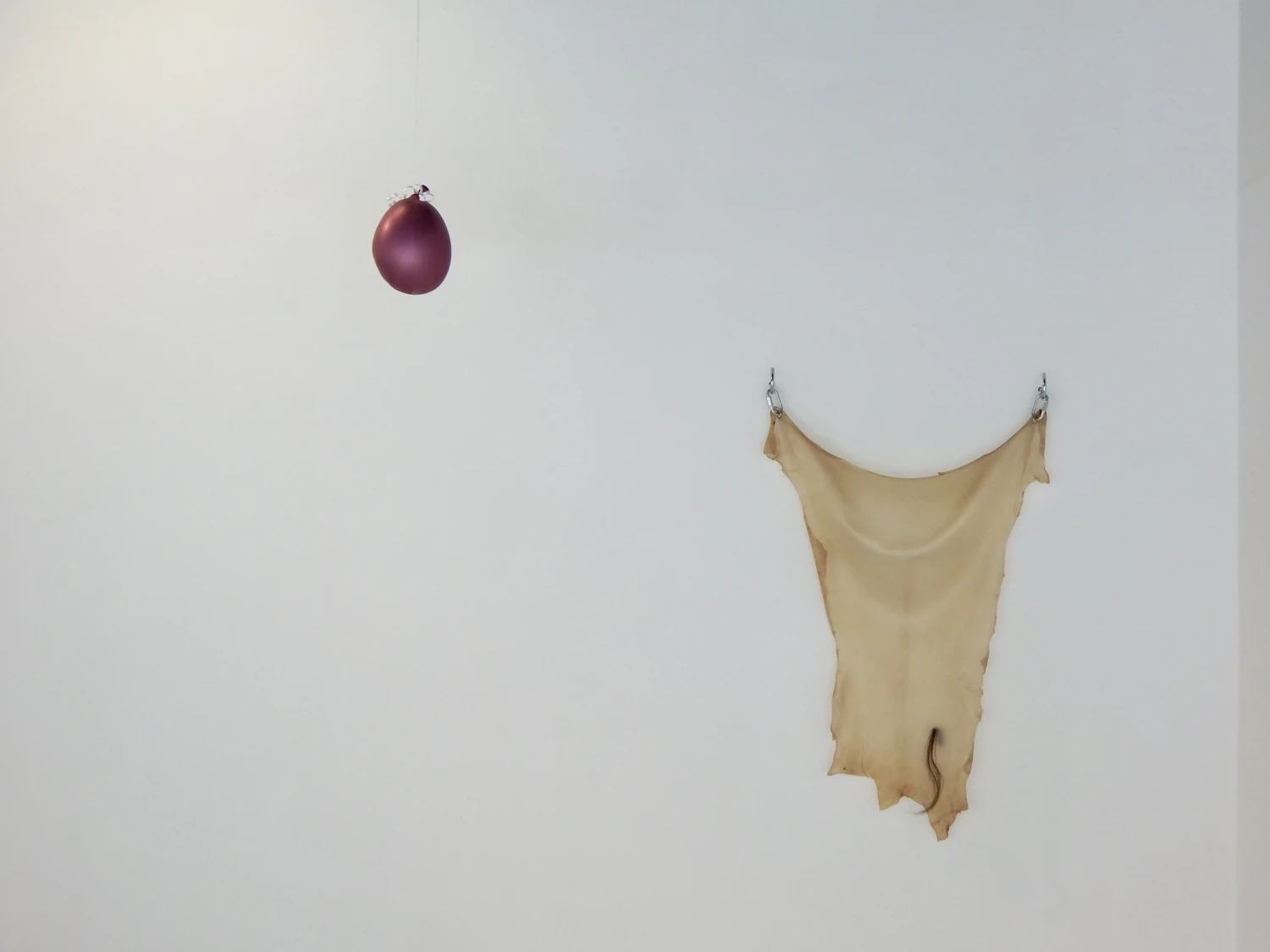 Installation view of *Byeee (there is always someone shouting)* and *Full Disclosure*.