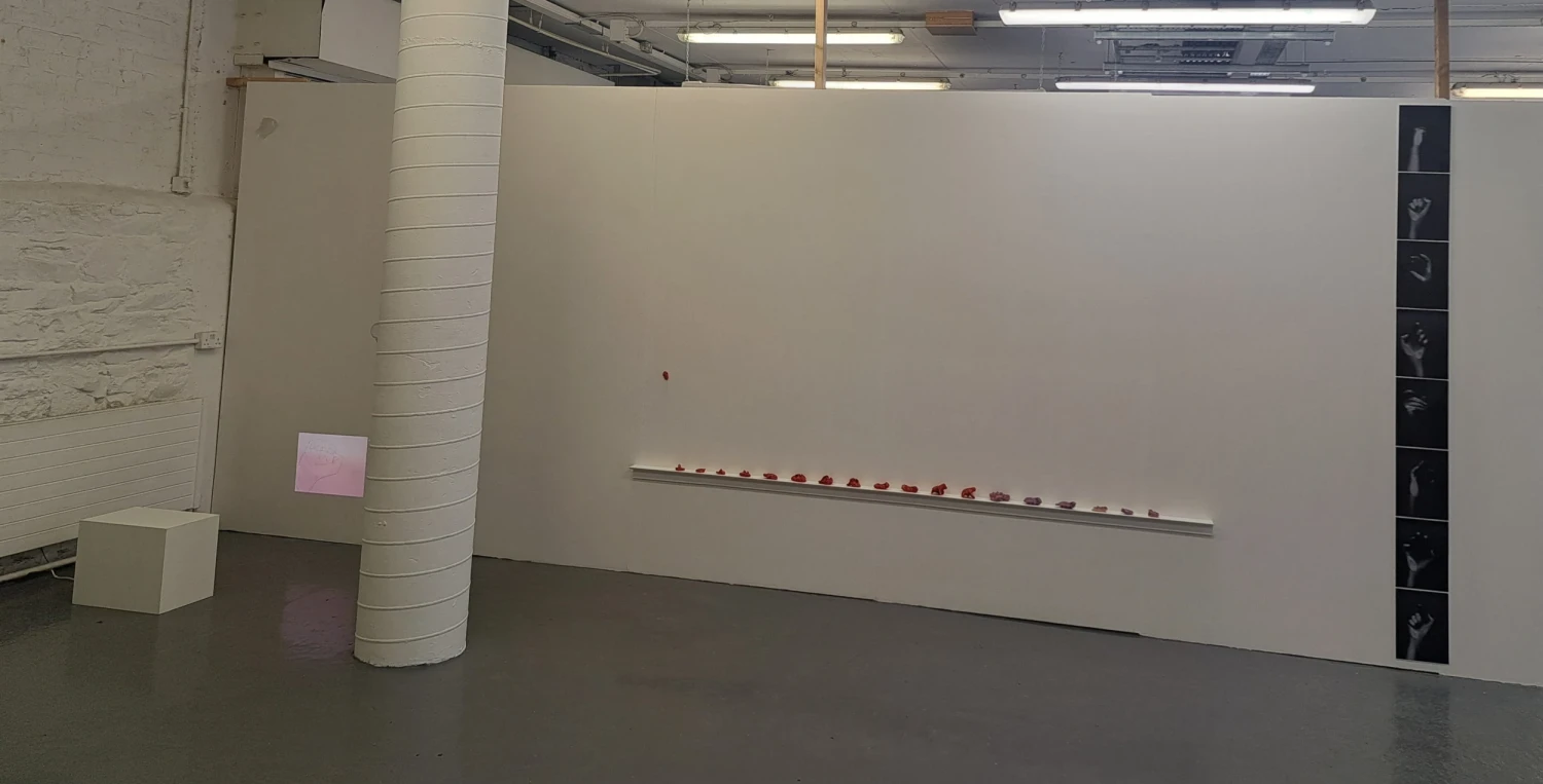 Installation view, NCAD Works 2026.
