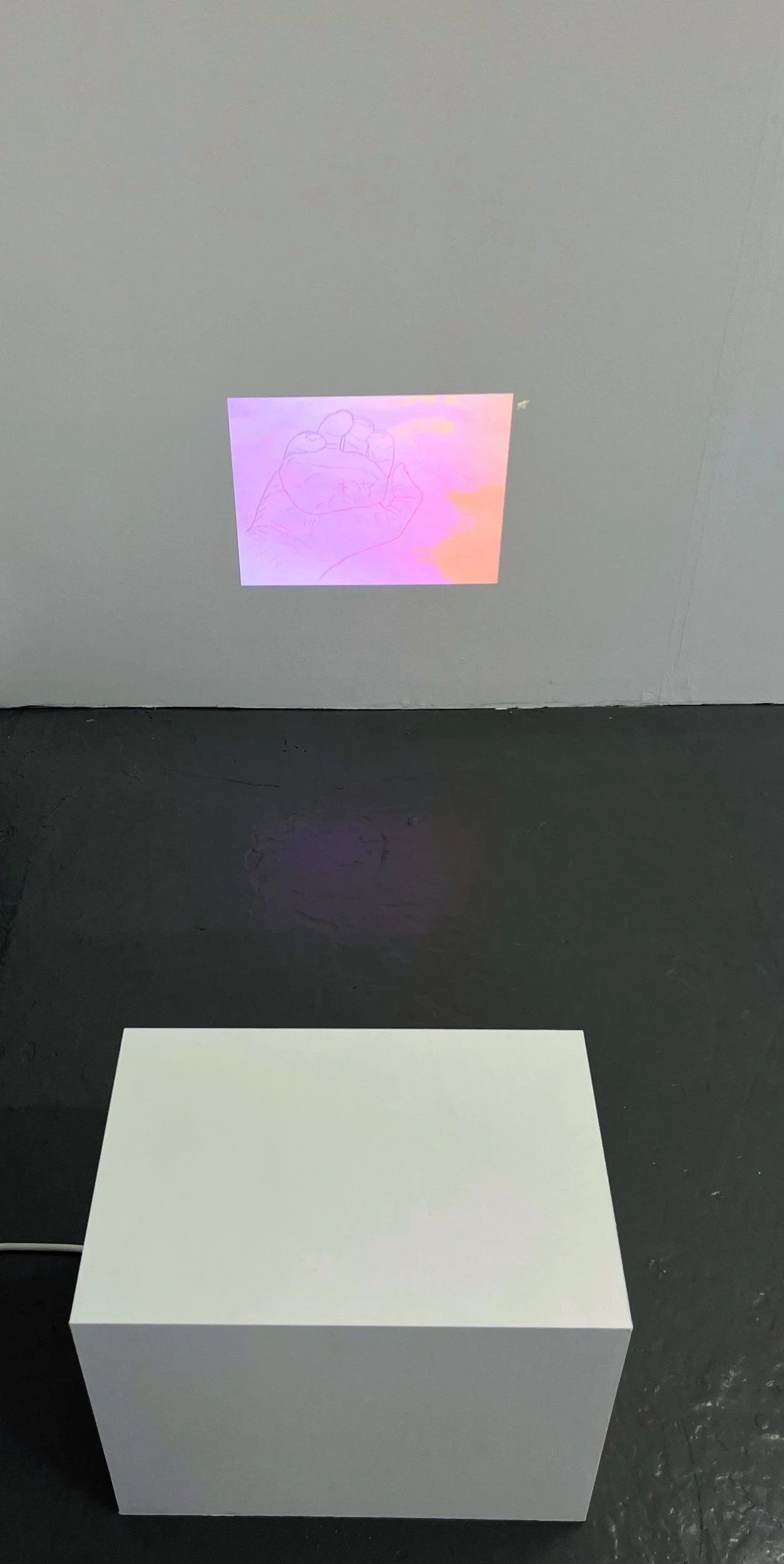 Installation view, animation projection, NCAD Works 2026.