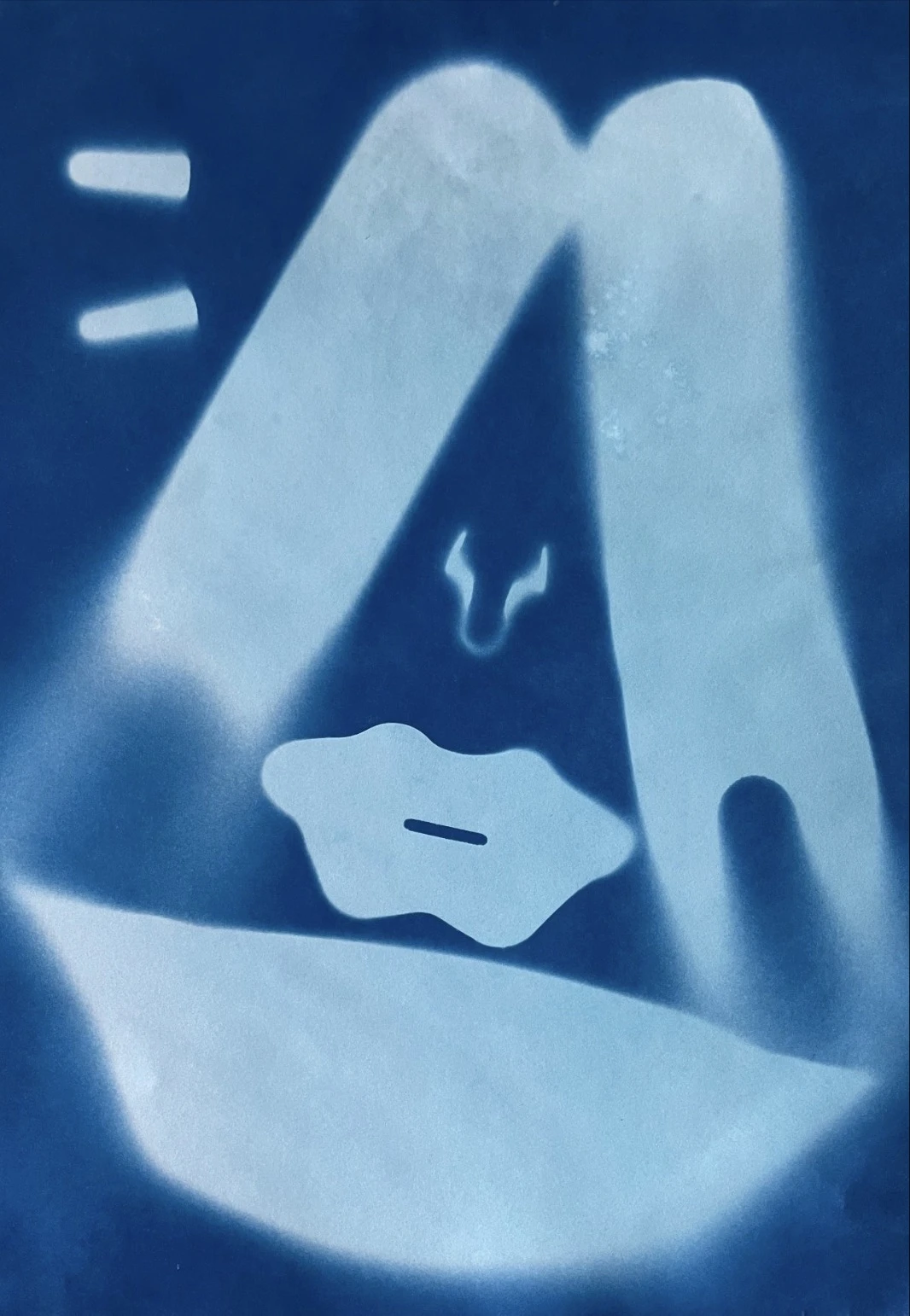 *Silent Night Kit*, cyanotype print, 21 x 29.7 cm.