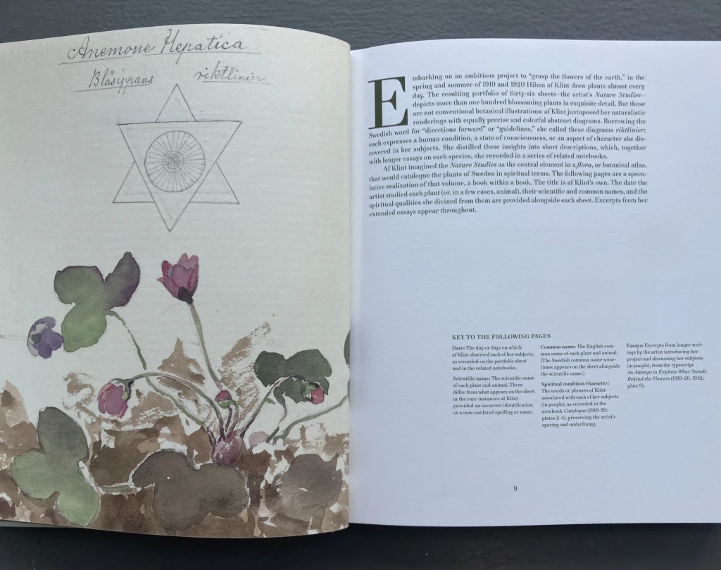 <p><em>What Stands Behind the Flowers…</em> — Hilma af Klint</p>