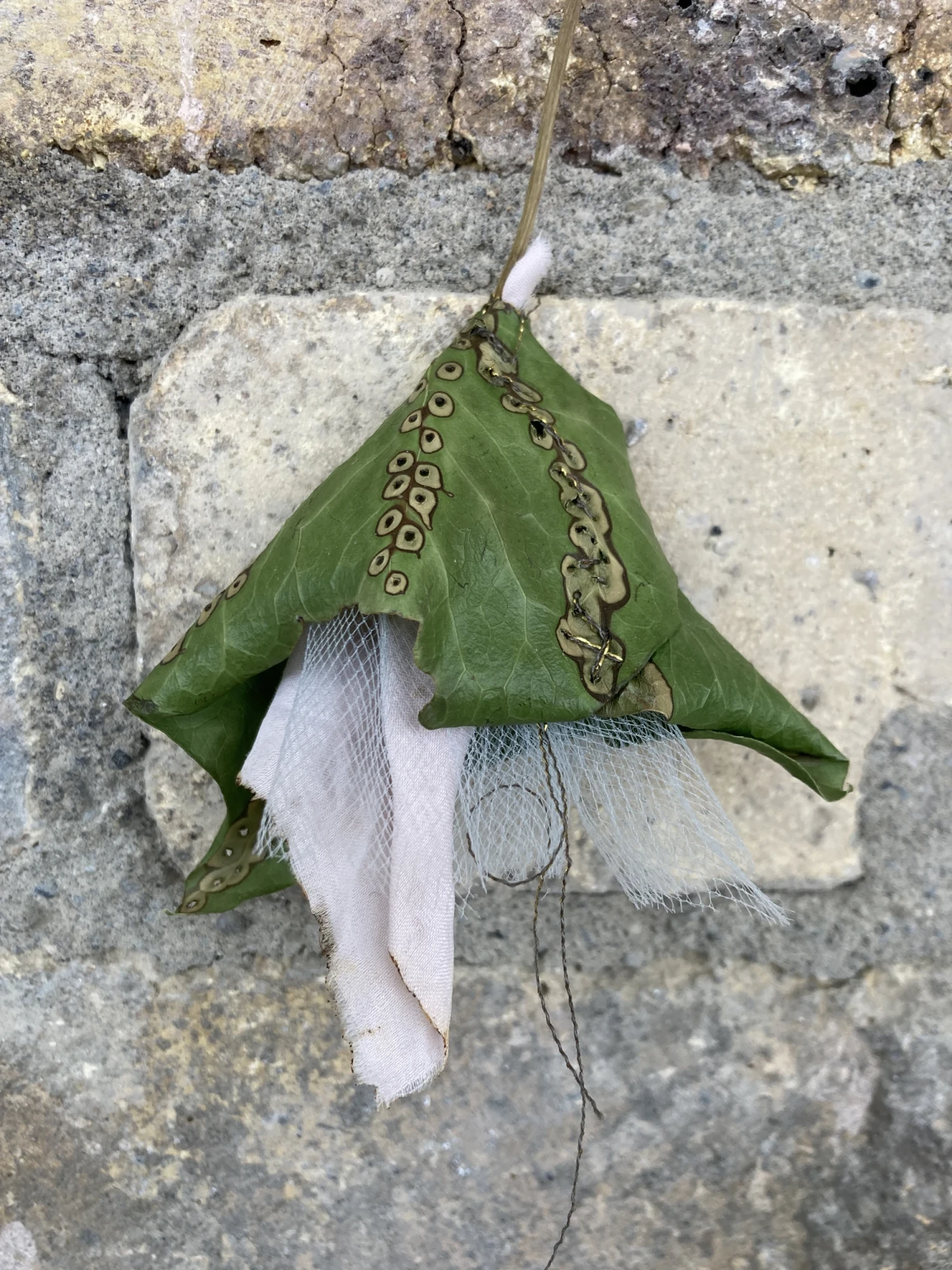 Ivy, silk and tulle, five months on...