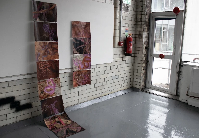Interiorisation of the Outside, mixed media, installation view, NCAD Works 2026.