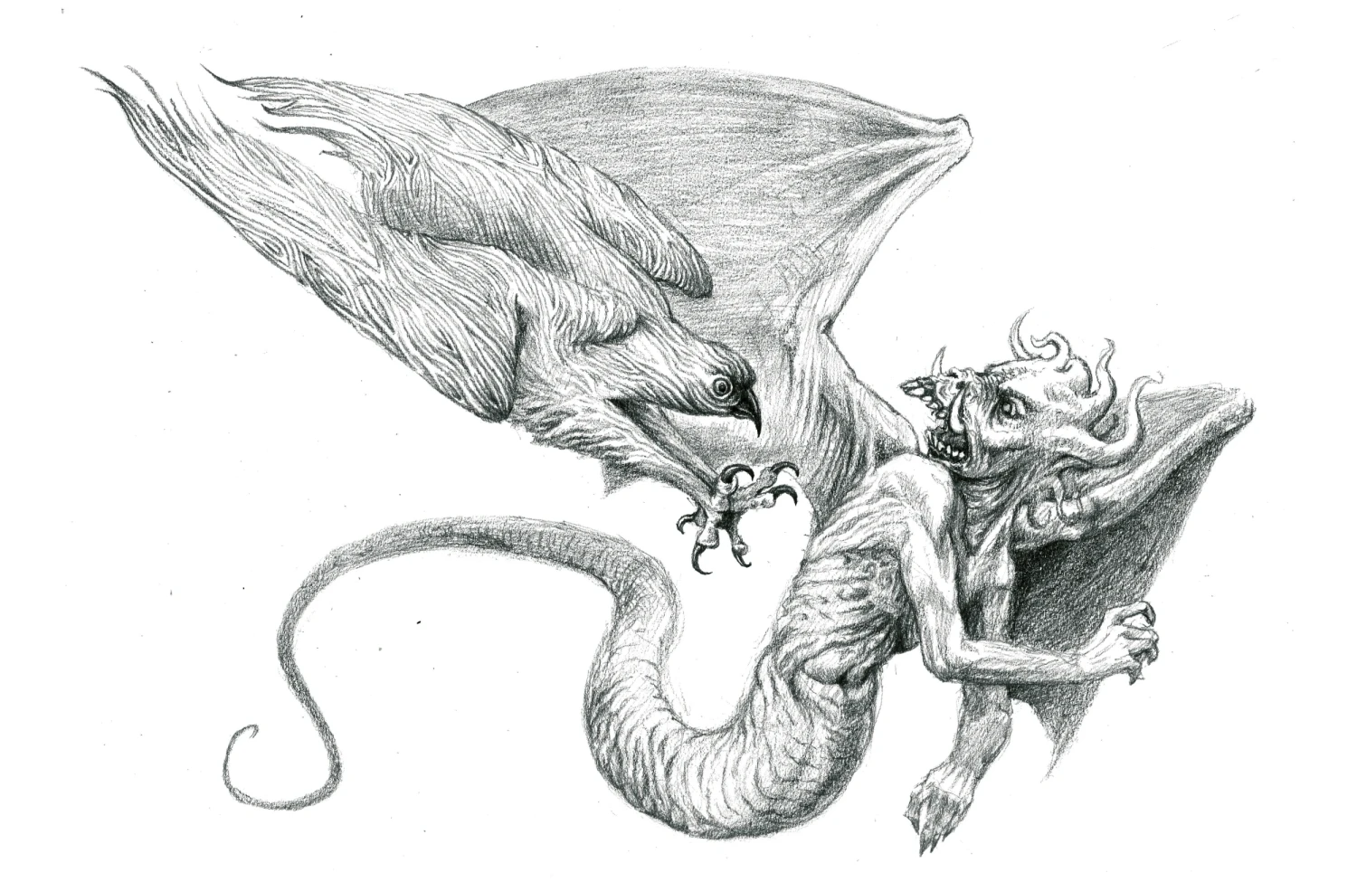 Antibody crippling bacteria, graphite on paper, 21 x 29.7 cm.