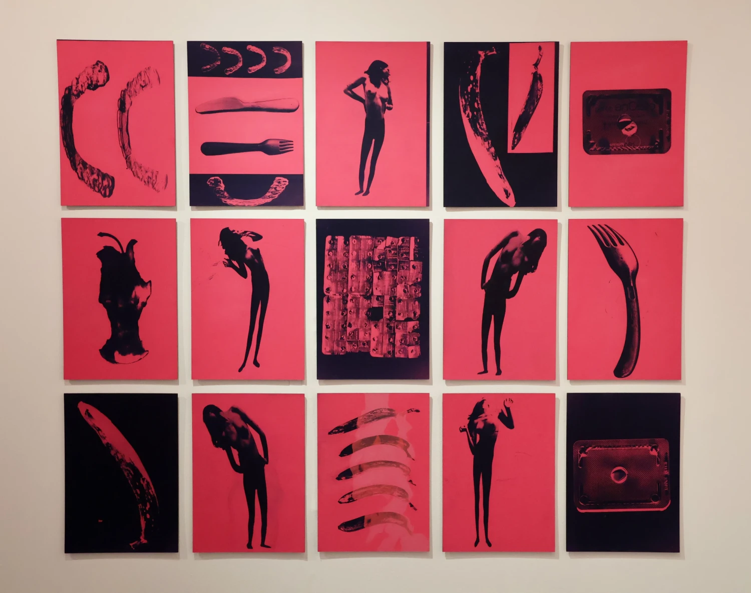 *DEVOUR ME, THAT PORTRAIT ON THE WALL* Series, Cyanotype prints.