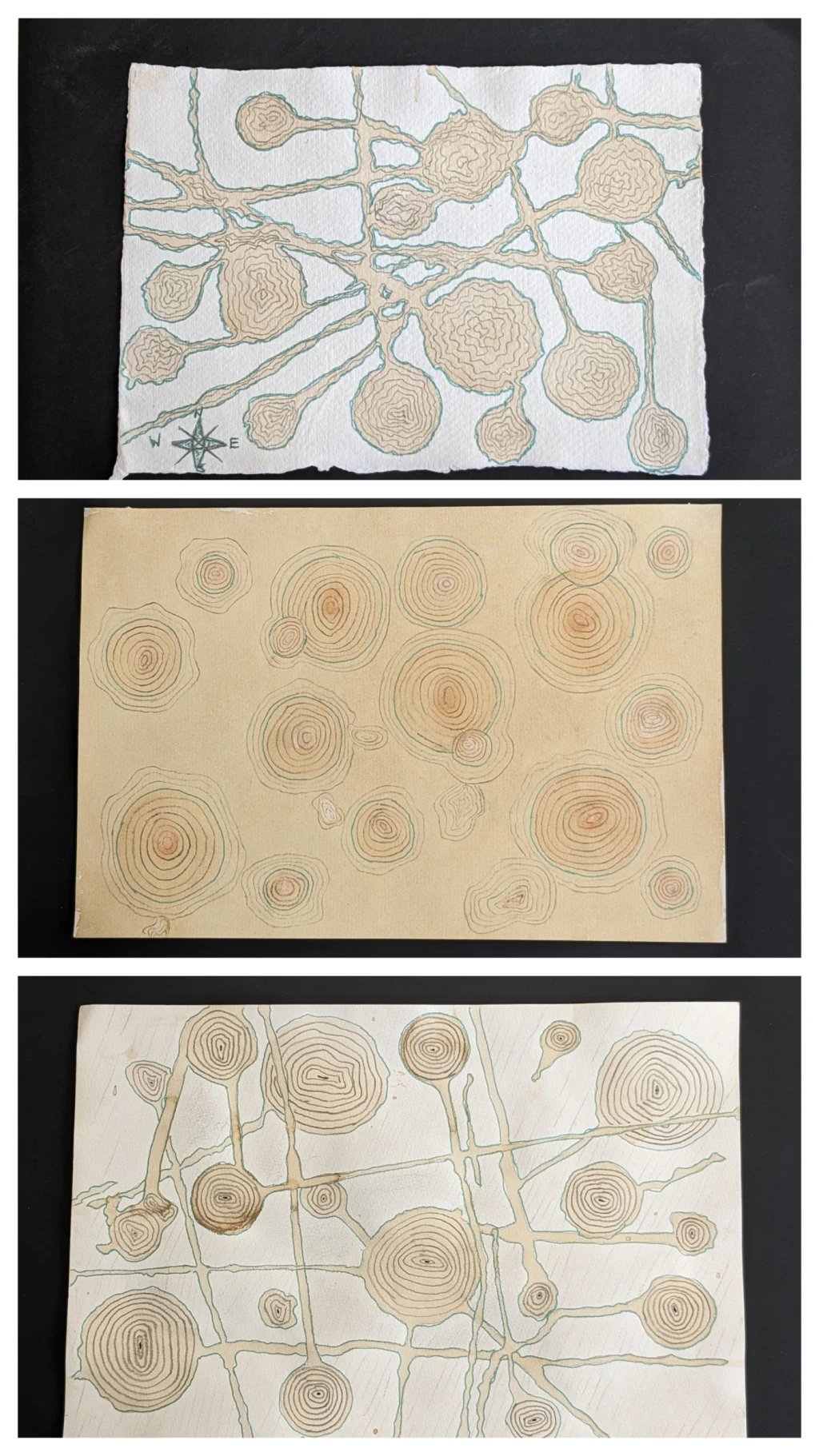 *The Language of Mapping*, contours ink, gel pen, pencil, coffee.
