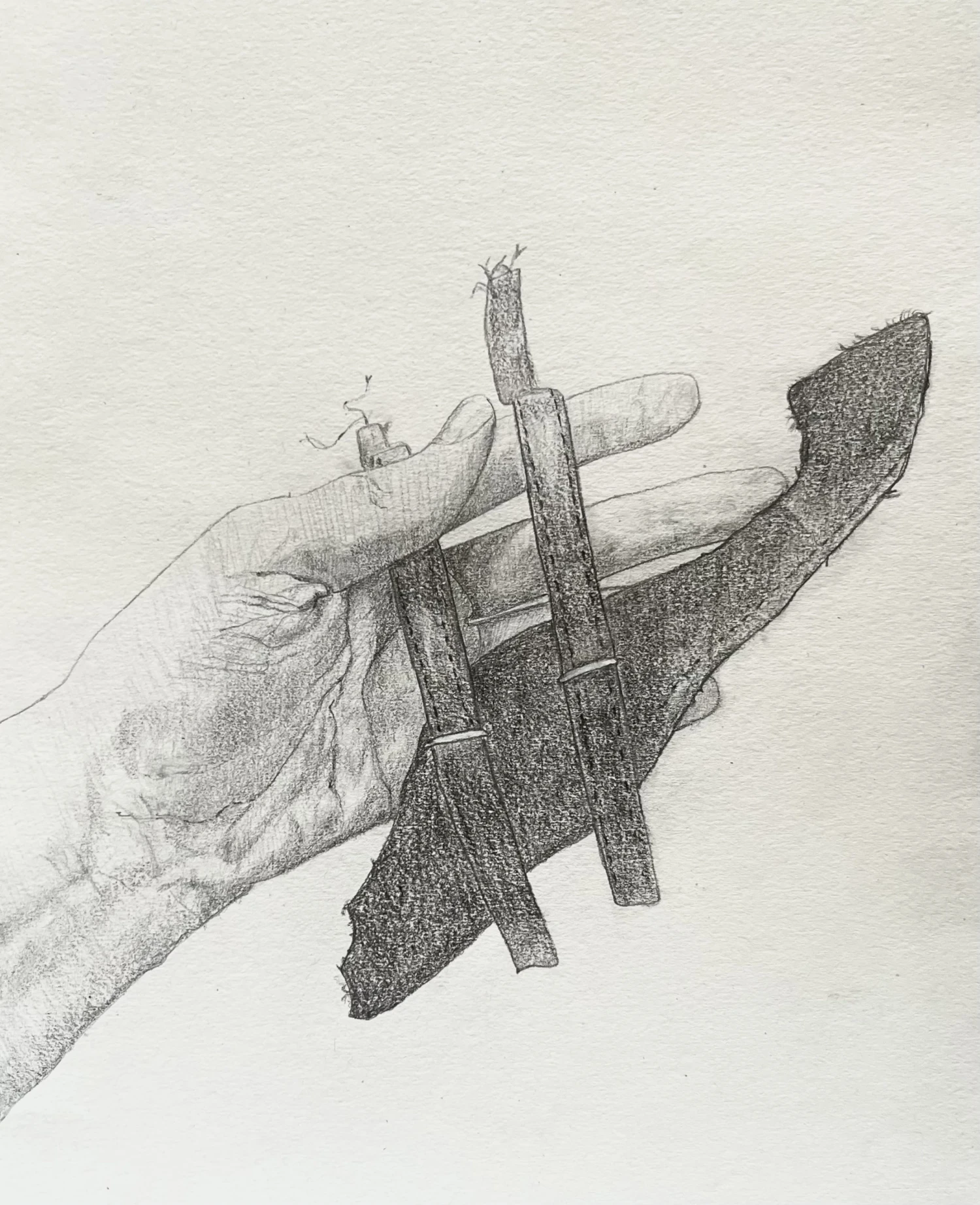 *Still Whole*, pencil on paper, 21 x 29.7 cm.