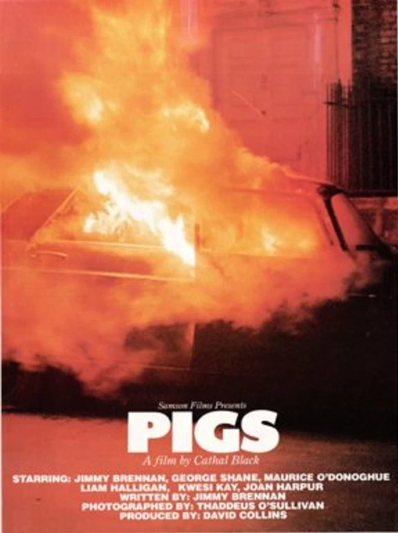 *Pigs*, cinematic release poster, Cathal Black, 1984.