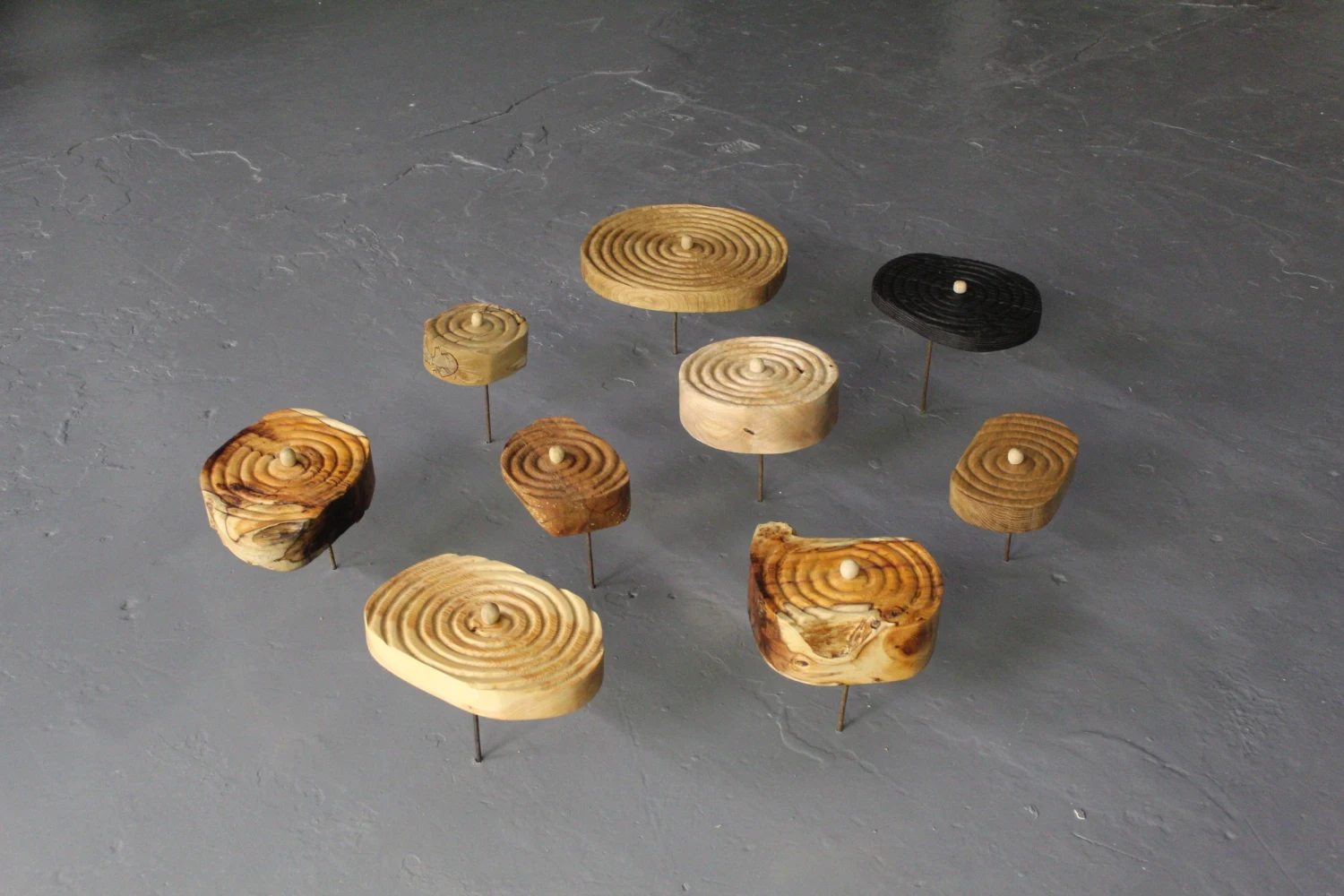 Daur (Oak), Coll (Hazel), Cuilenn (Holly), Ibar (Yew), Uinnius (Ash), Ochtach (Scots Pine), Aball (Apple), steel.