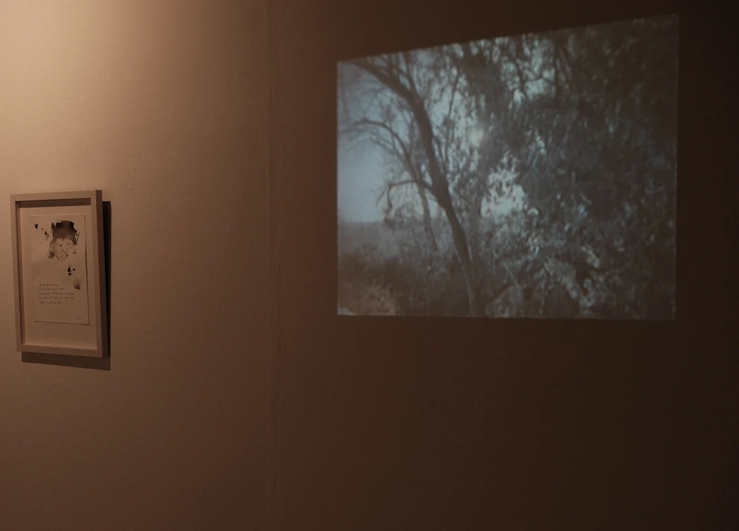 *I long to return*, video projection, duration 2 mins 30 seconds.
