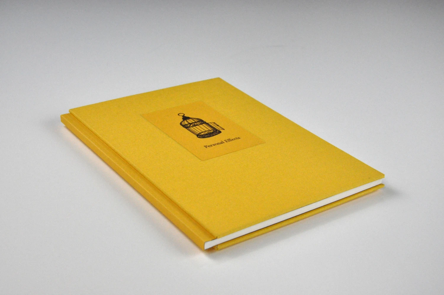 Perfect-bound in Canary Yellow bookcloth. The title sits into a relief panel.