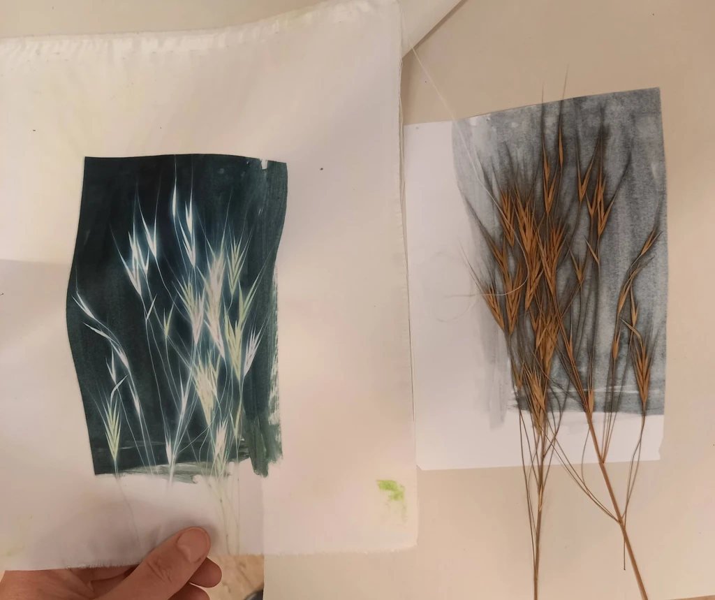 Research for printed textiles module.