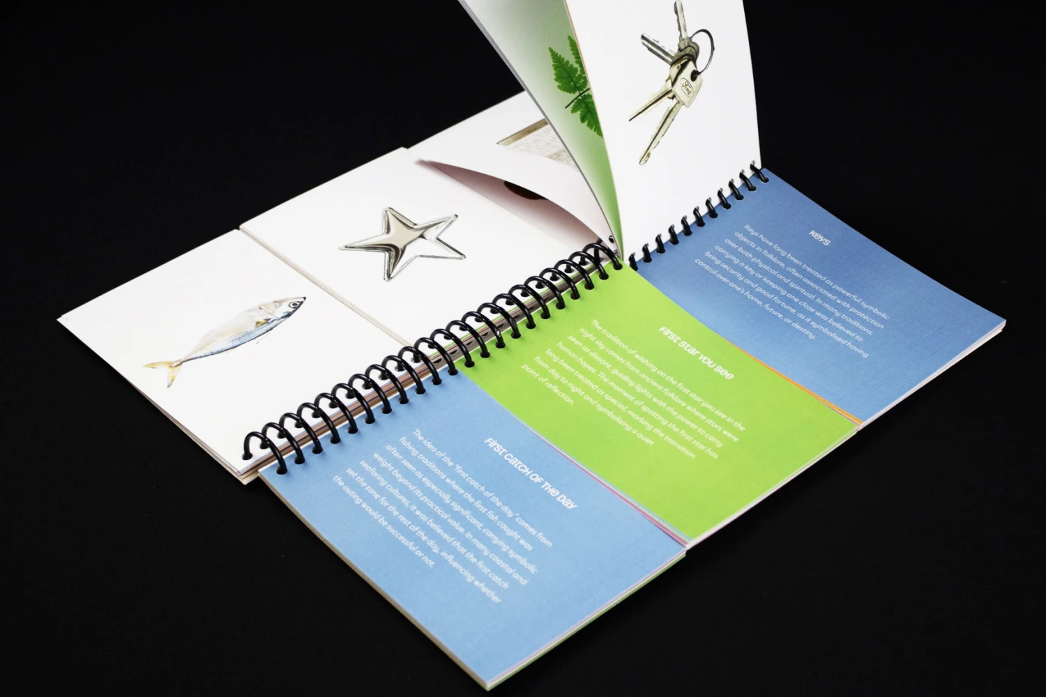 *What We Hold On To*, publication.
