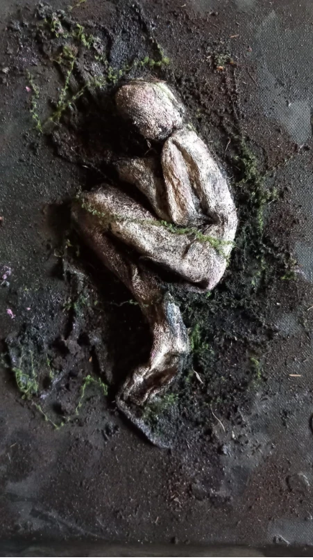 *Resting*, 50 x 50 cm.