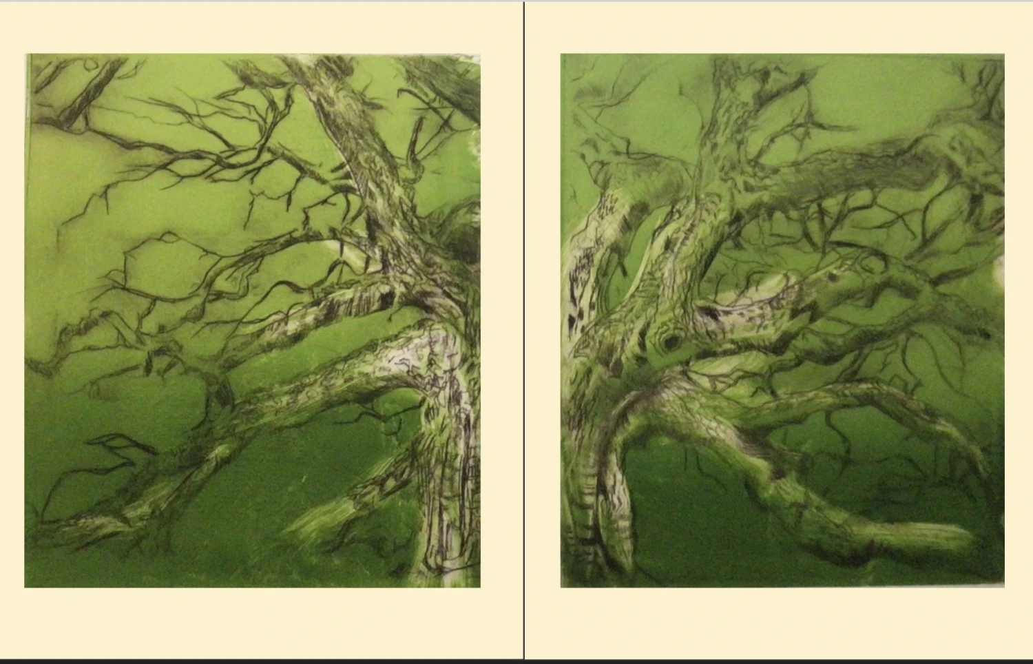 *Troell*, Oak tree Intaglio print on Fabriano with Roll Up, 90 x 45 cm.