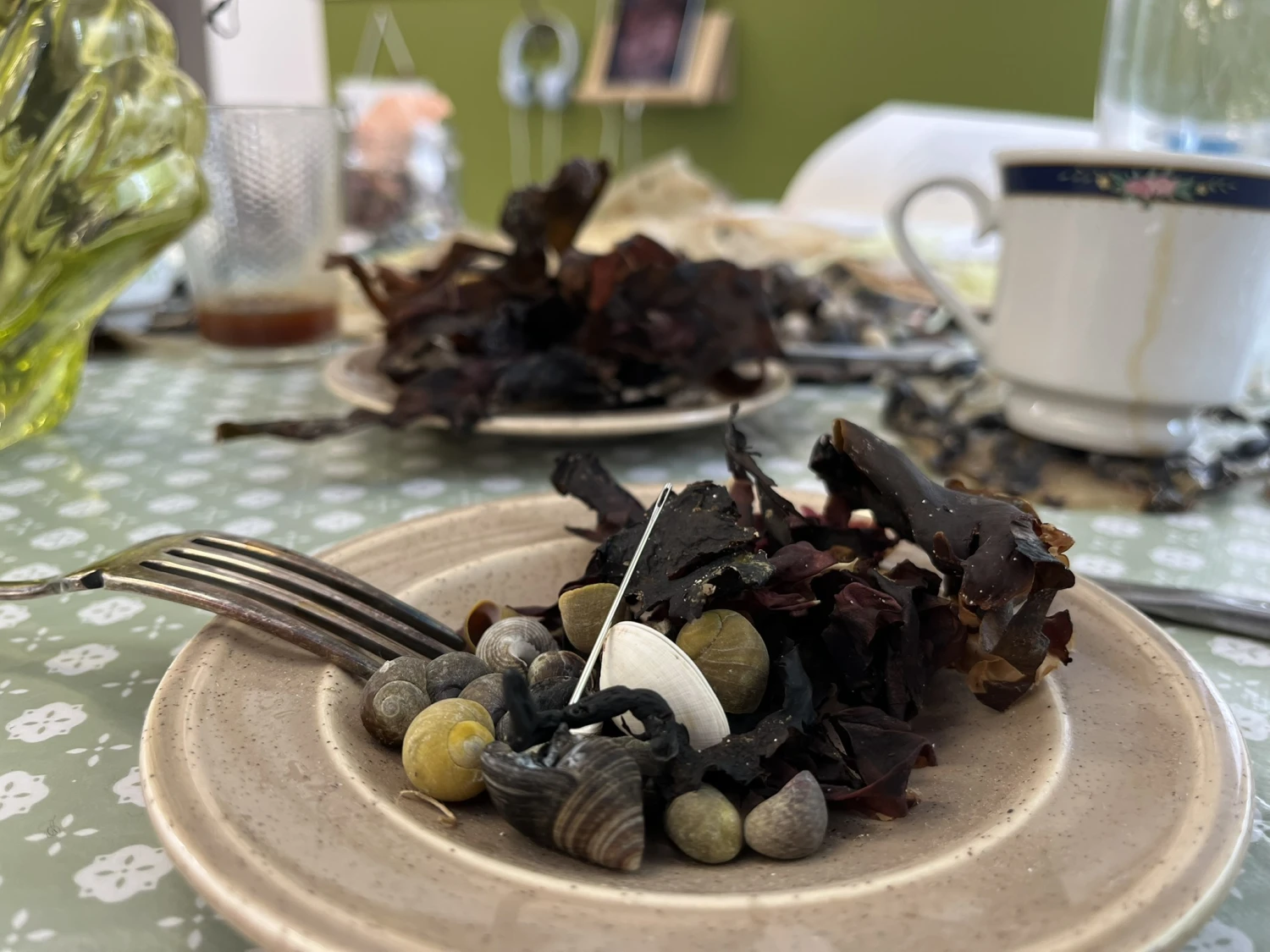 Murúchs dinner for her husband, periwinkles and dillisk from tráigh Bhaile Challadh.
