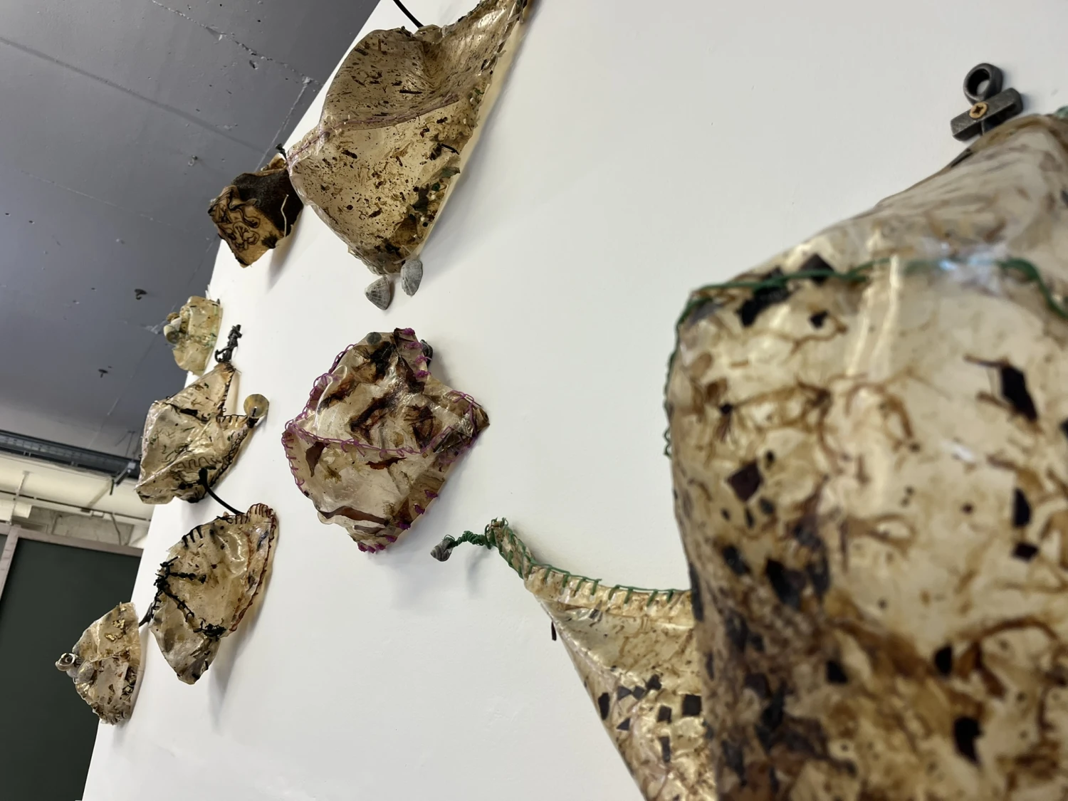 Cochal View, seaweed leather, alginate thread.