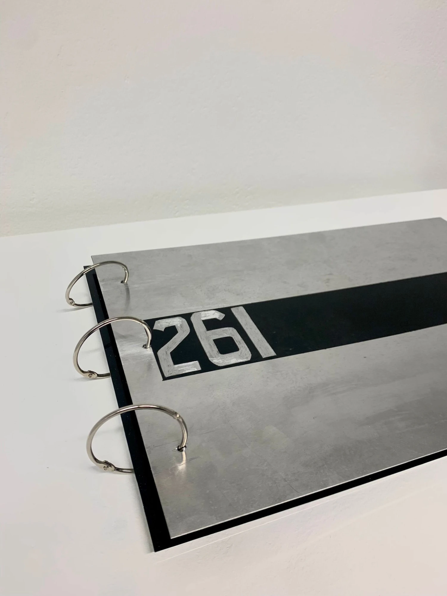 261 Aluminium, Canson Platine Fibre Rag, Metal rings 42.5 x 28 cm