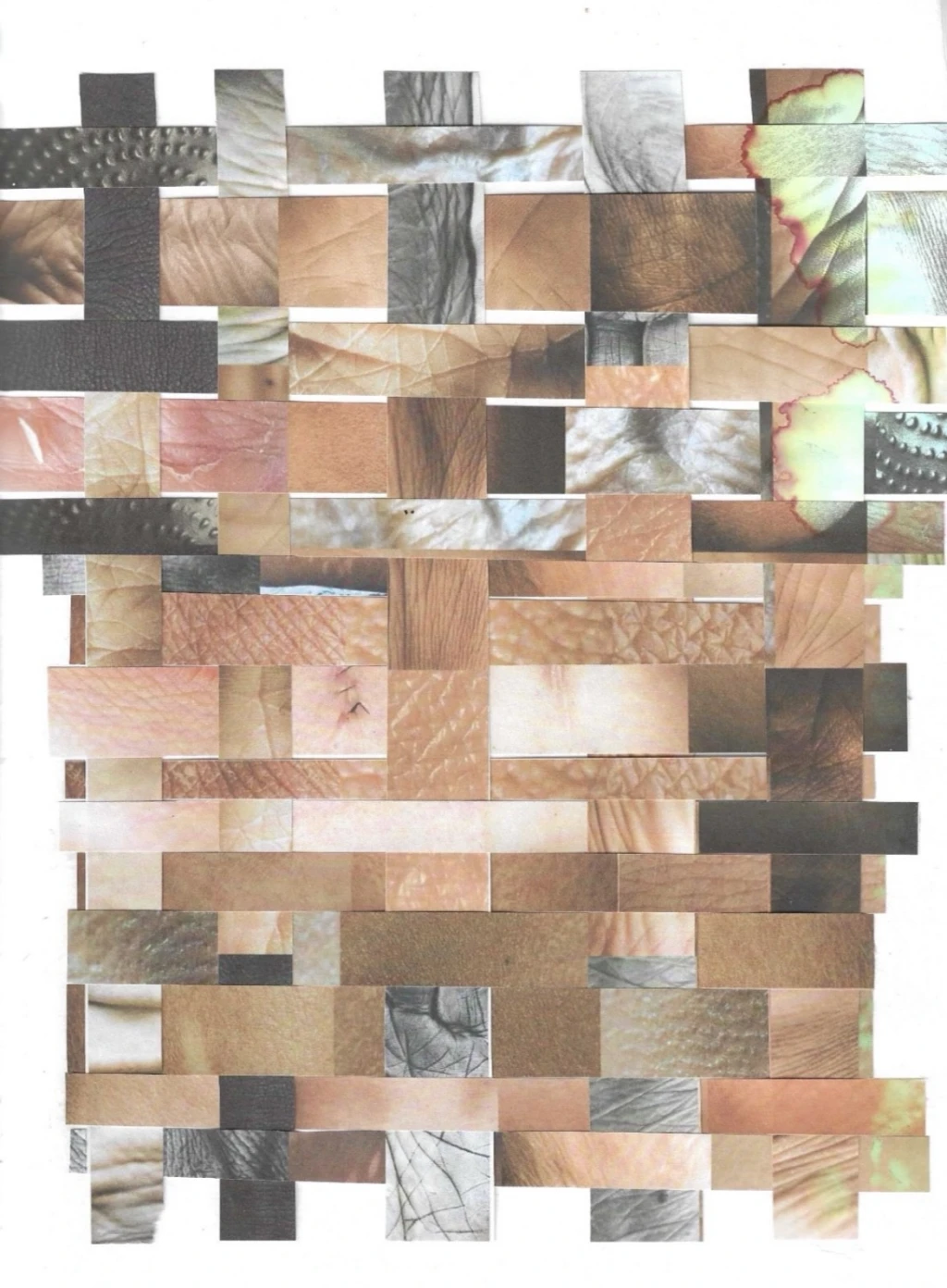 A visual study collage of skin, scars and skin textures.