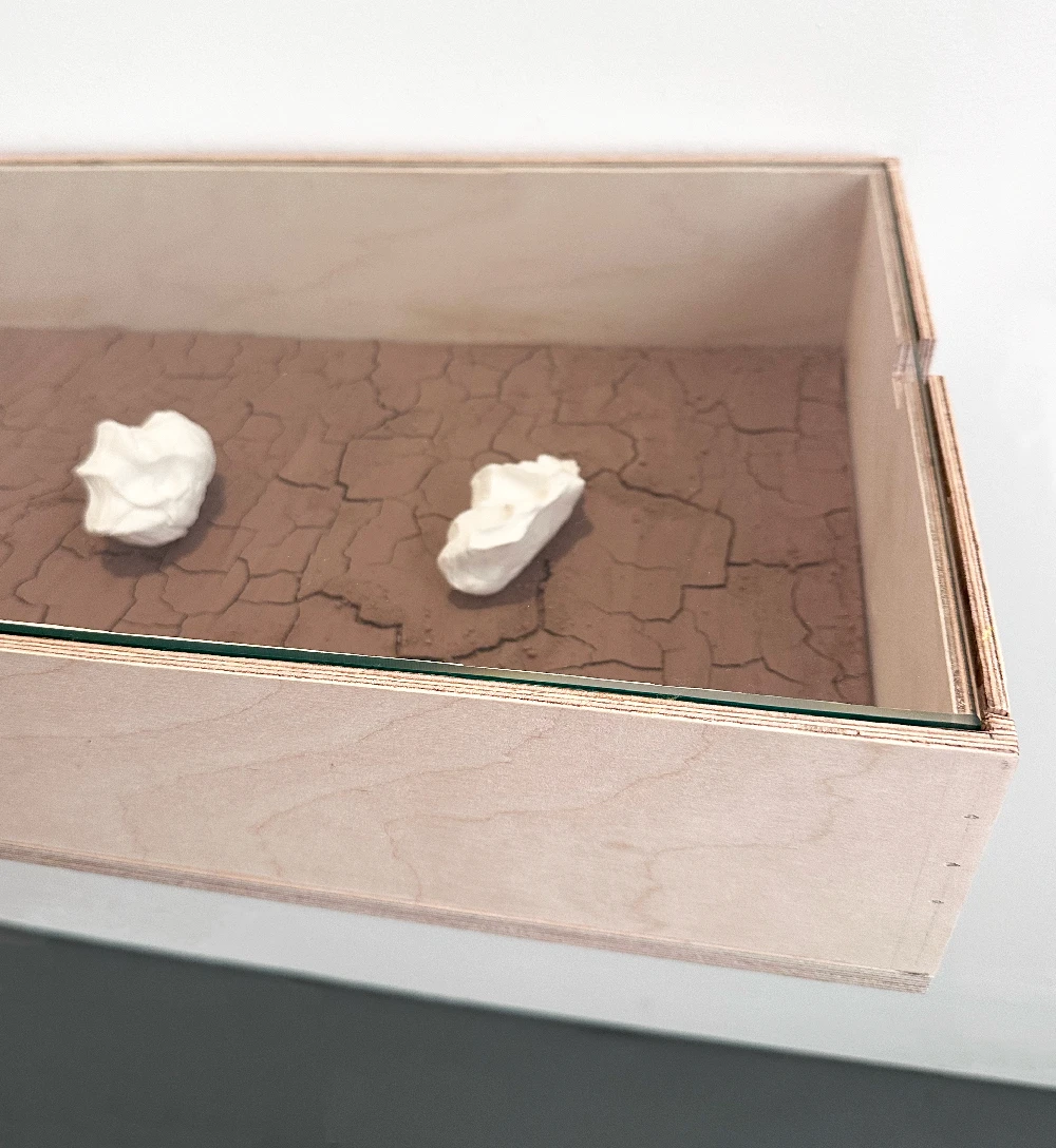 Display unit, birch ply with terracotta clay insert and paper porcelain sculptures.