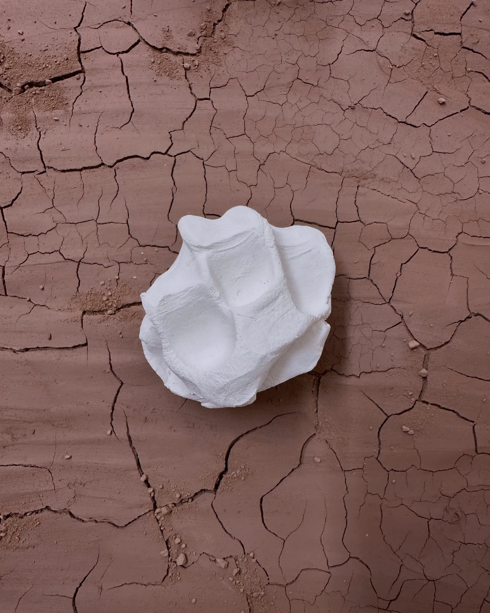 Paper porcelain on terracotta clay.