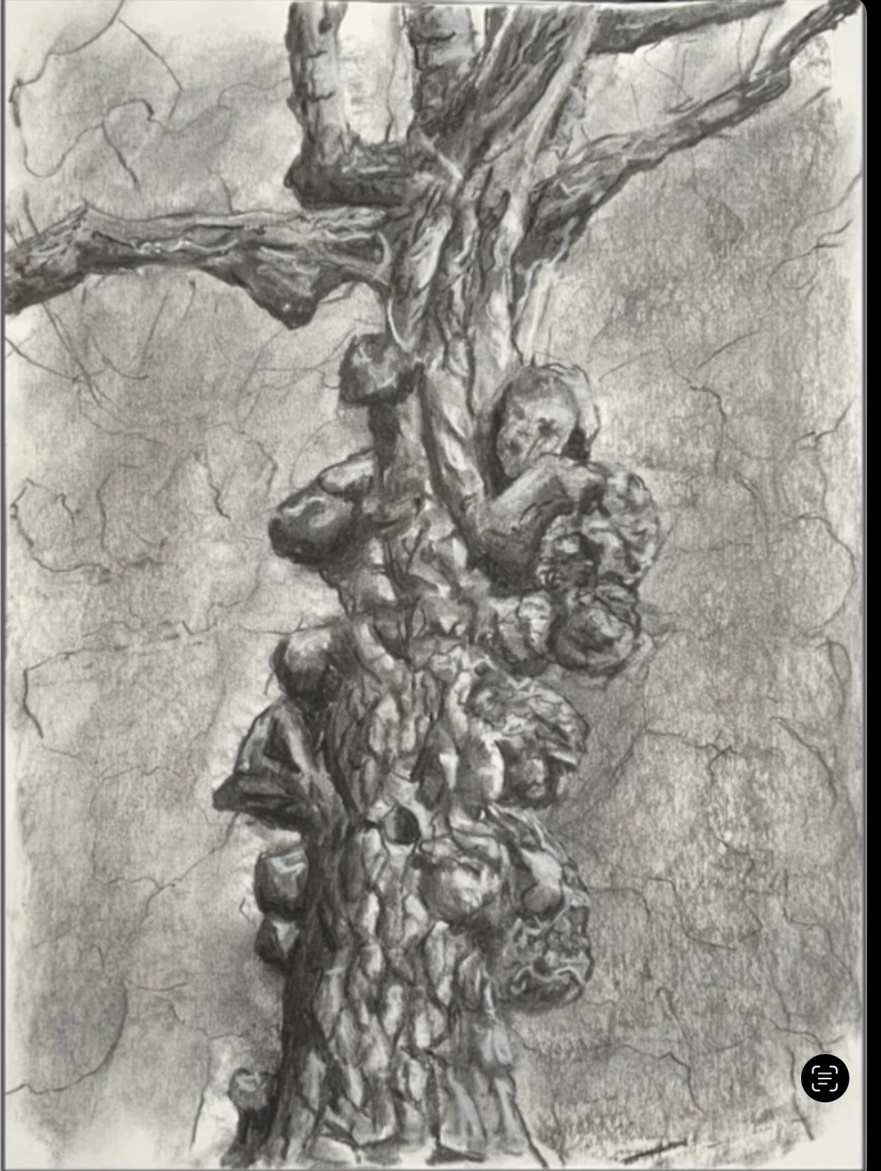 *Trauma Bonding*, charcoal on paper, 29.7 x 21 cm.