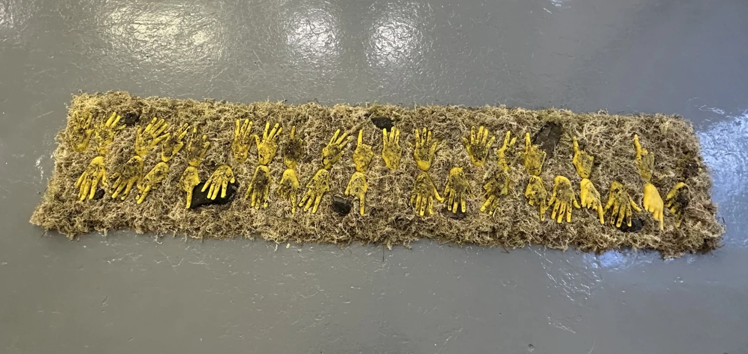 Sphagnum Moss, beeswax pellets, Willow, Elder, Birch, and Scots pine clippings, dimensions variable.