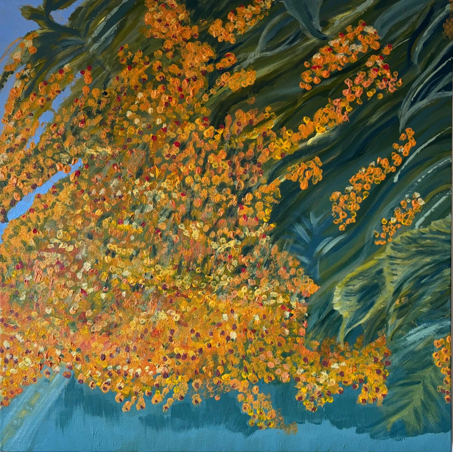 *Pyracantha, Newbridge Ave, Sandymount*, acrylic, Gesso on canvas, 50 x 50 cm.