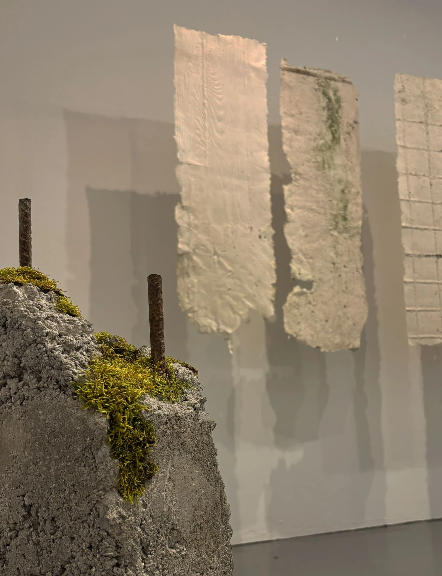 Installation view, *Tending*, NCAD Works 2026.