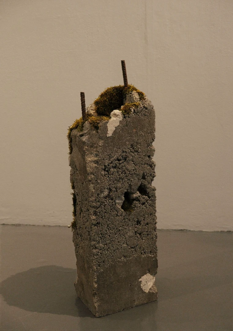 *Gradual Invasion*, concrete, moss and paper sculpture, 9 x 7 x 32 inches.
