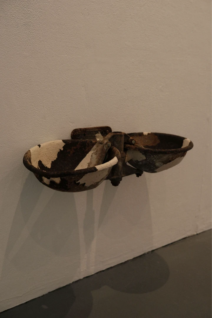 *The Cattle Drinker*, found object with paper pressed onto the surface, 21.5 x 10 x 7 inches.