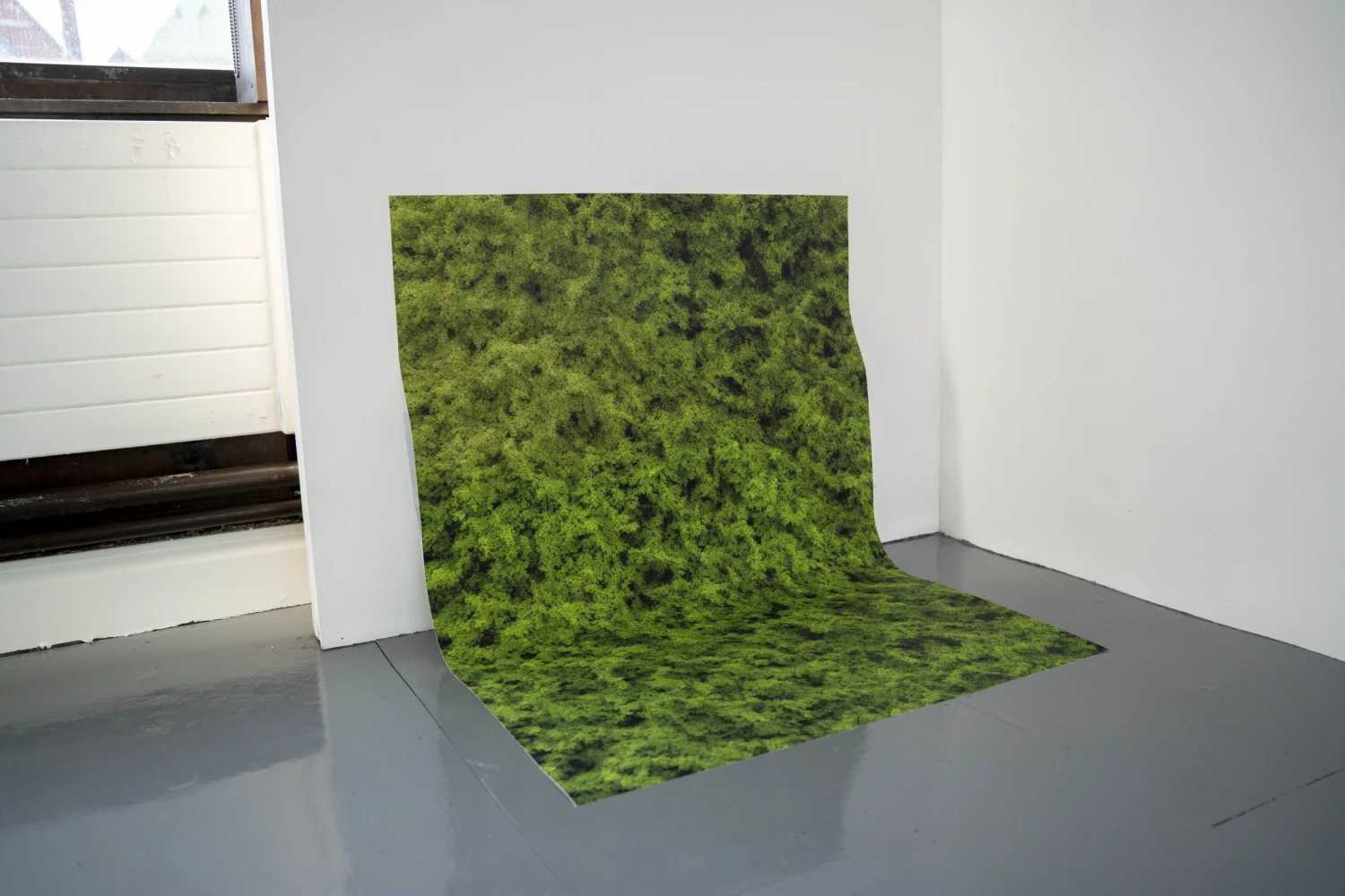 Installation view, Hedge, NCAD Works 2026.