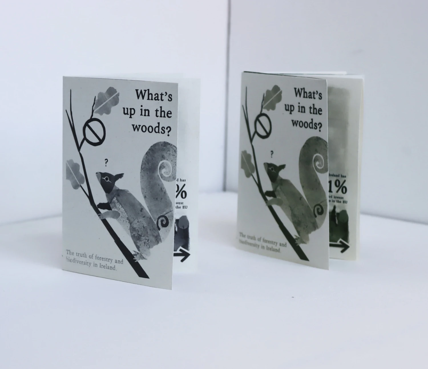 Accompanying zine.