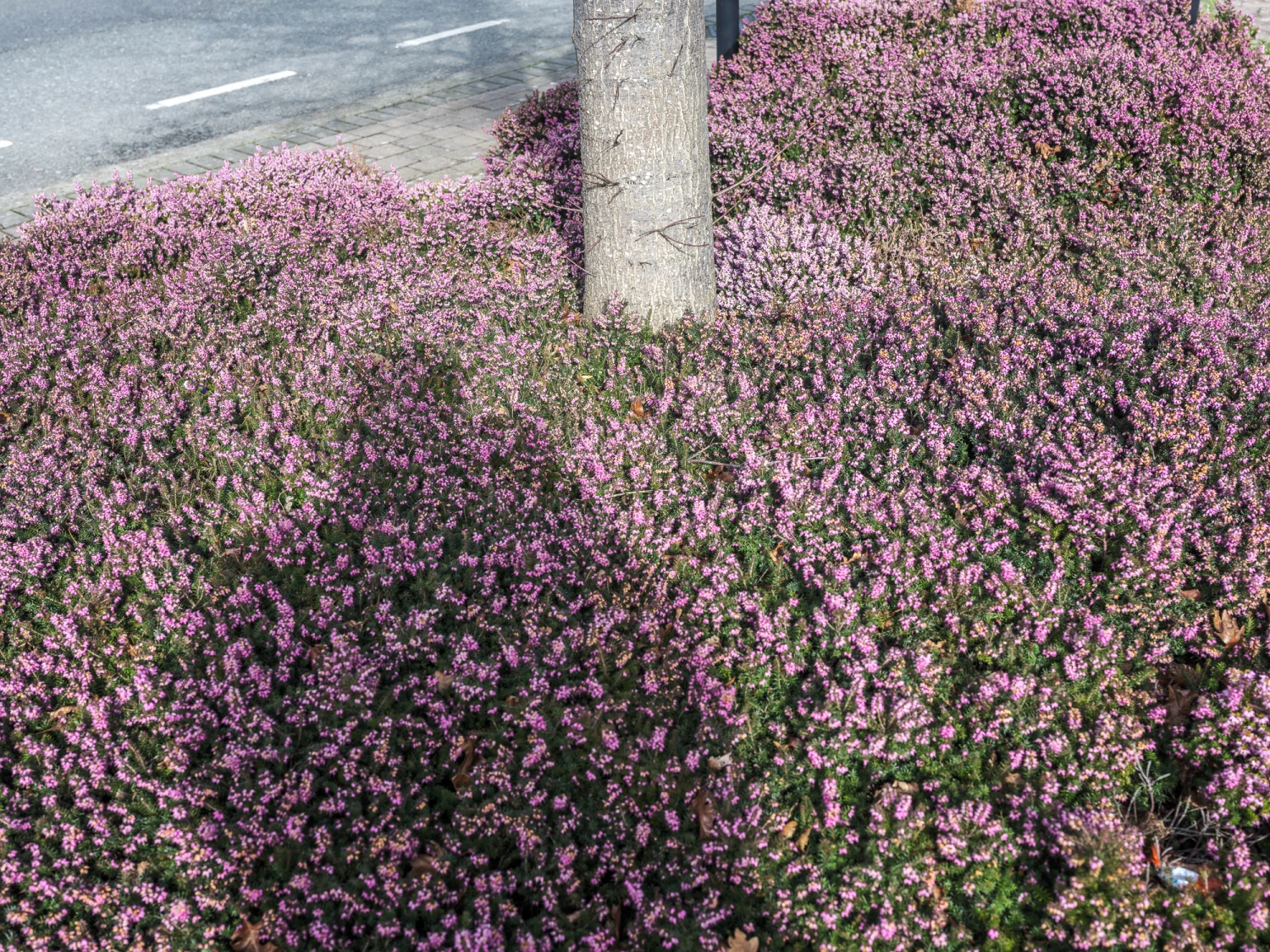 *Crossroads*, Giclée print, 594 x 841 mm.