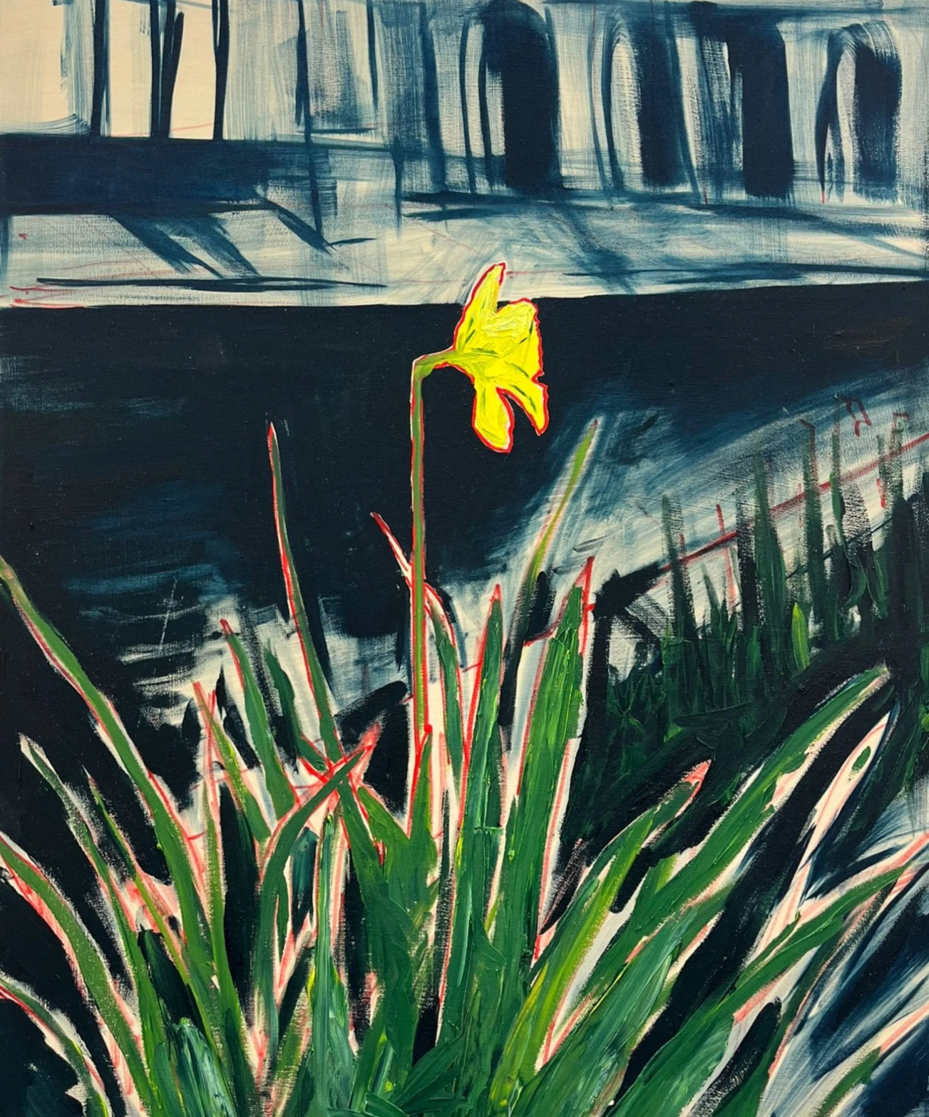 *Daffodils in December*