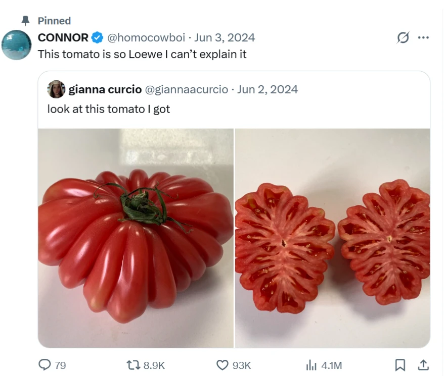 The *loewe tomato* (@homocowboi, 2024).