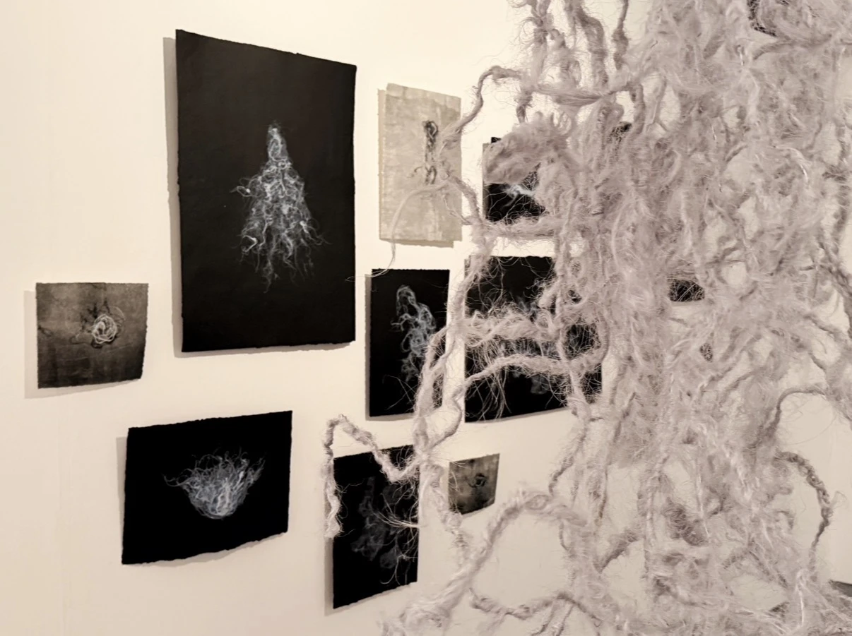 Installation view, *Lucht an Dobróin*, NCAD Works 2026.