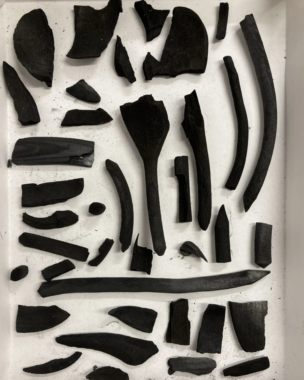 Making charcoal in The Field, NCAD.