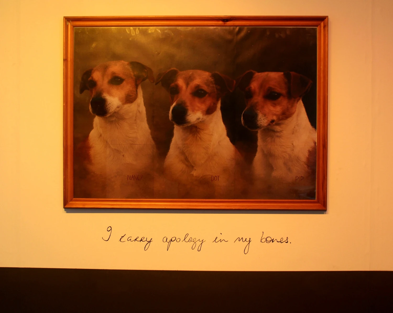 *We Three Queens*, a playful reimagining of companionship, loyalty, and domestic mythology, 60 x 84 cm.