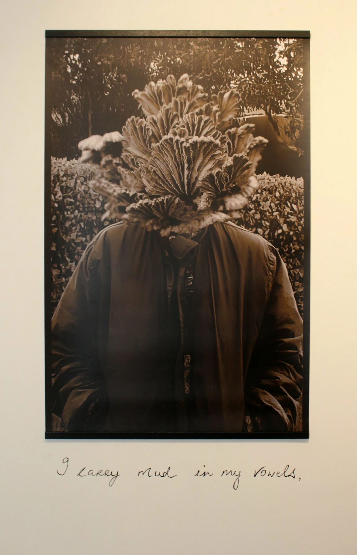 *Fungus Head*, a female figure in traditional farming clothing has her head replaced by fungus found growing on spoiled bales, reflecting fears of becoming “useless” by leaving the farm and choosing another path, 114 x 80 cm.