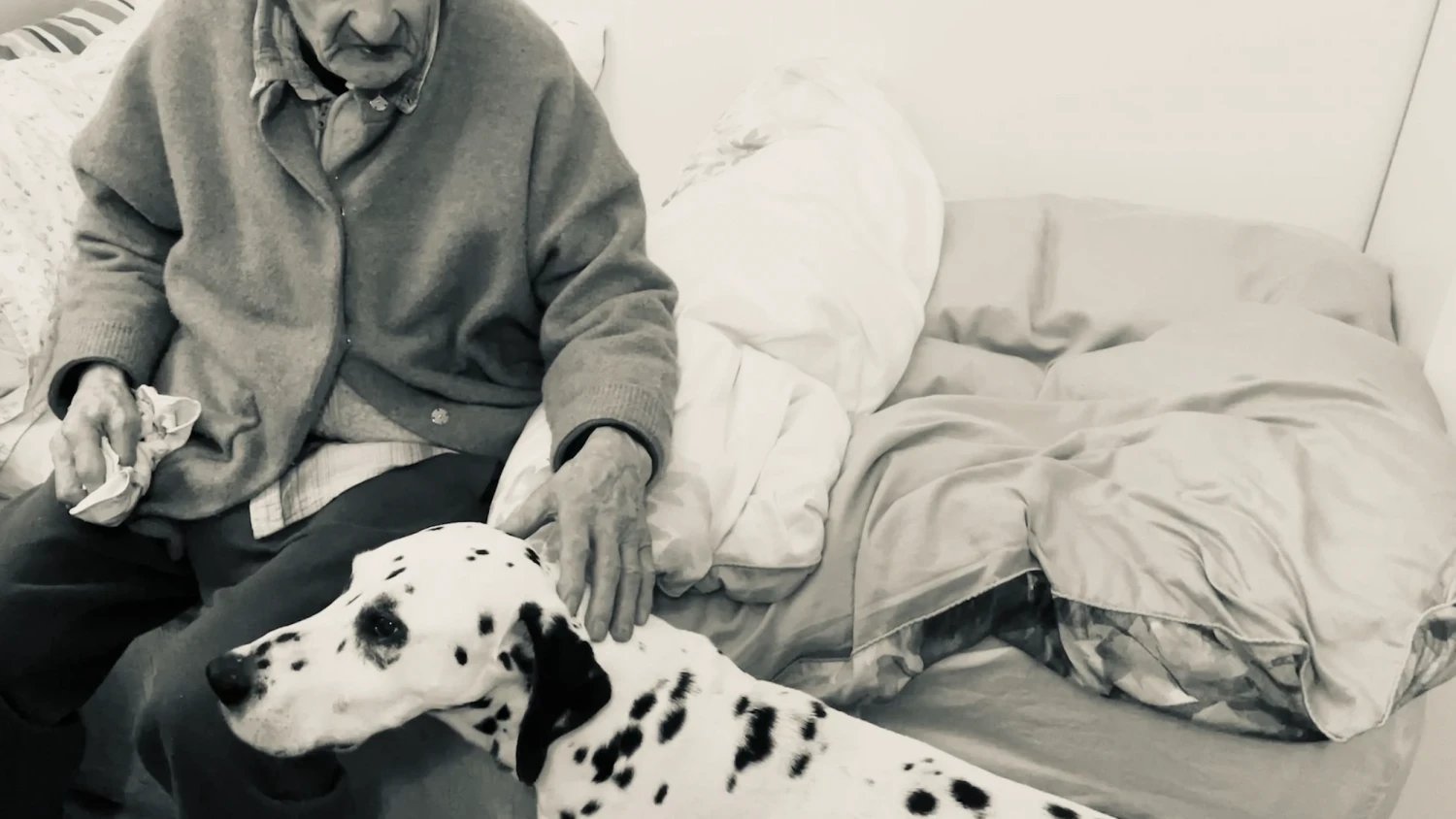 Grandad with dog in Dublin.