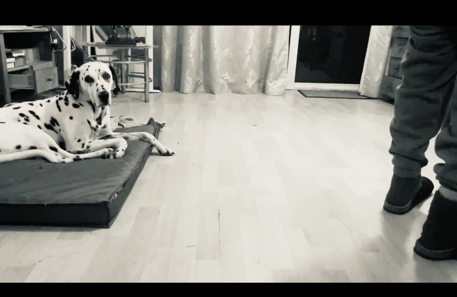 Black and white.