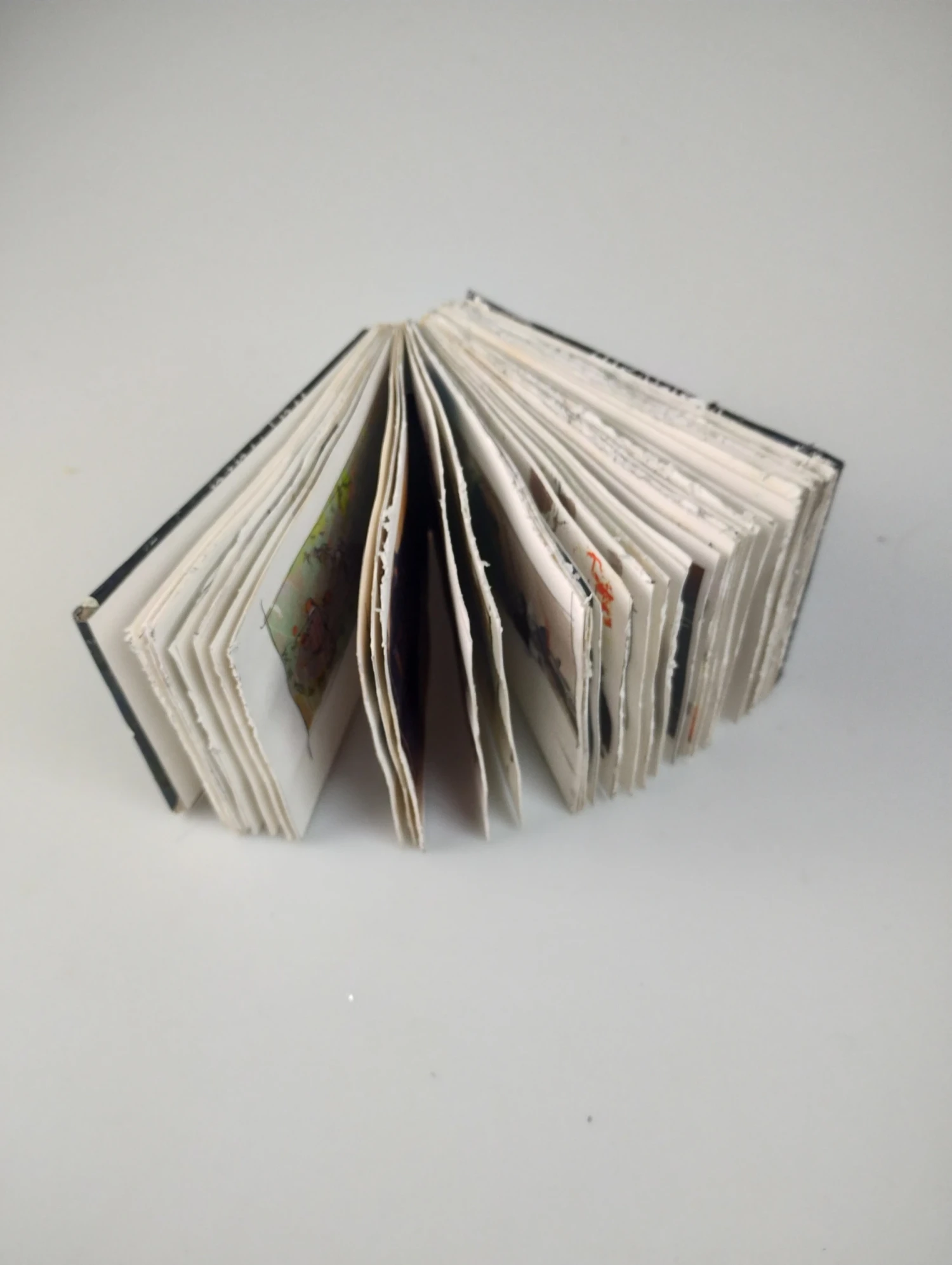 *Wayward*, poem book.