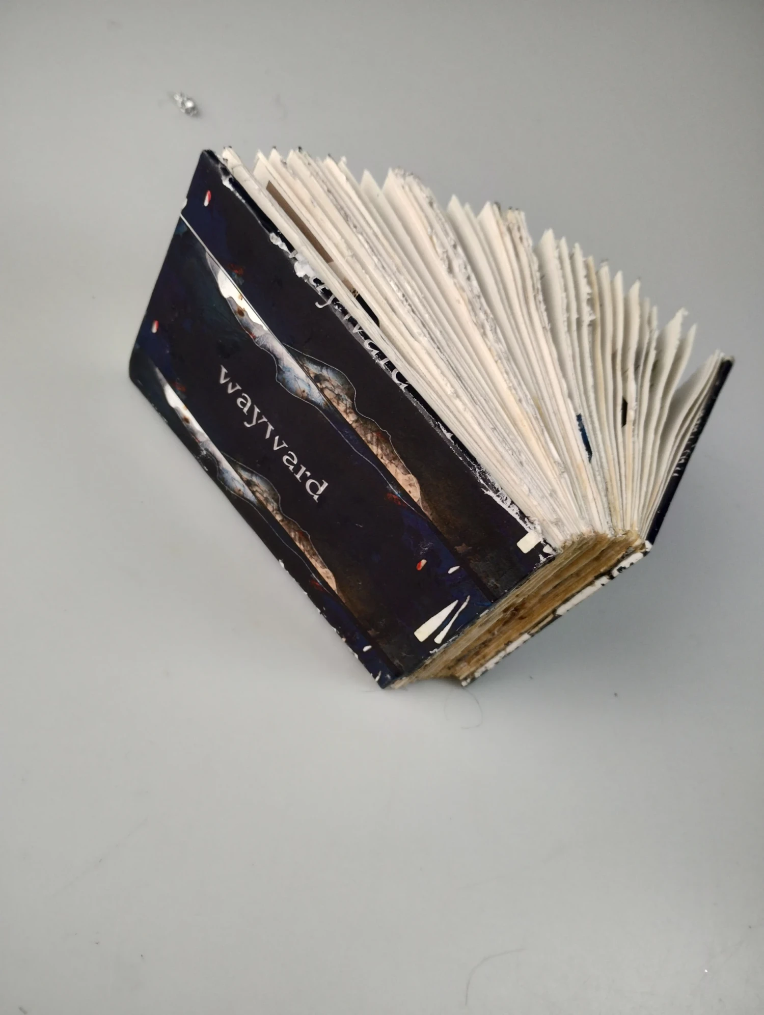 *Wayward*, poem book.